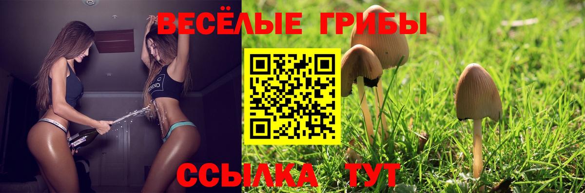 Псилоцибиновые грибы GOLDEN TEACHER  Псилоцибиновые грибы Psilocybine cubensis  Абакан  Вход с VPN 